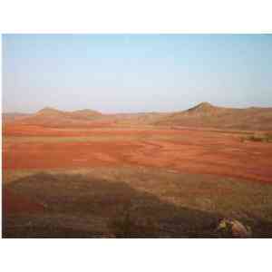 Click para ampliar. Pulsa en el nombre para ver la ficha. Así es el Campo de Montiel